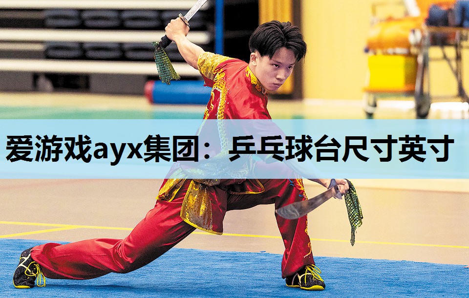 爱游戏ayx集团：乒乓球台尺寸英寸
