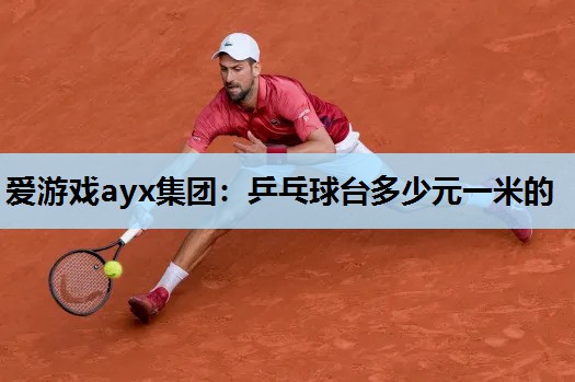 爱游戏ayx集团：乒乓球台多少元一米的