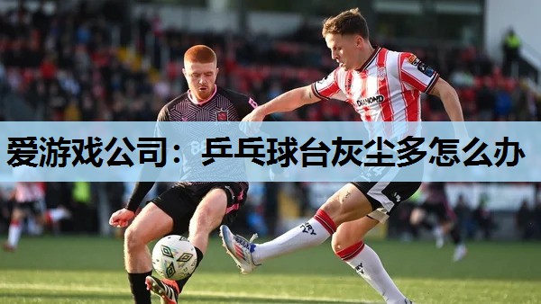 乒乓球台灰尘多怎么办 乒乓球台灰尘多怎么办