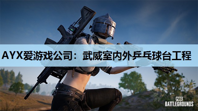 武威室内外乒乓球台工程 武威室内外乒乓球台工程