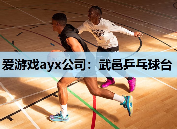 武邑乒乓球台 武邑乒乓球台
