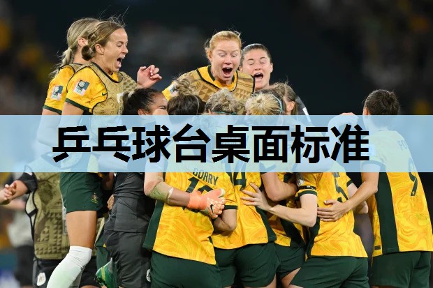 乒乓球台桌面标准 乒乓球台桌面标准