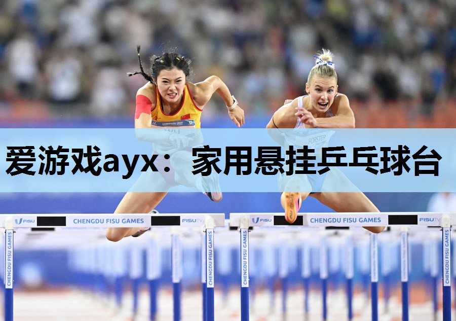 家用悬挂乒乓球台 家用悬挂乒乓球台