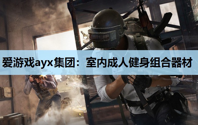 室内成人健身组合器材 室内成人健身组合器材