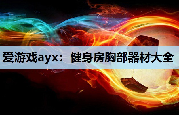 健身房胸部器材大全 健身房胸部器材大全