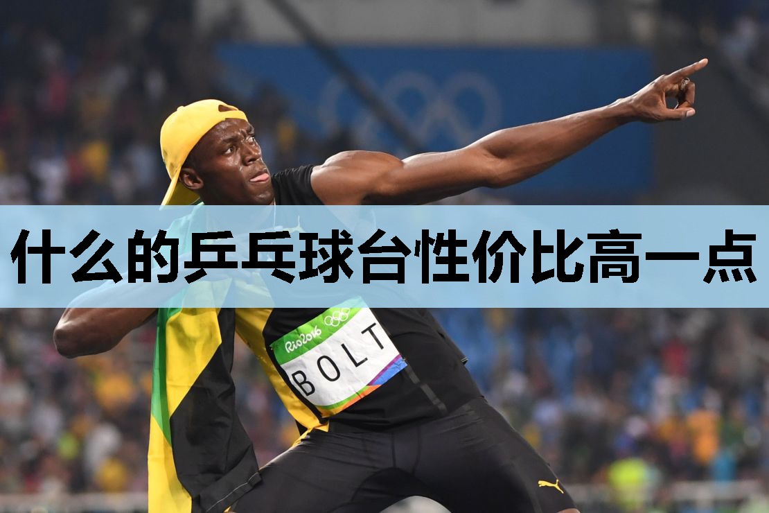 什么的乒乓球台性价比高一点 什么的乒乓球台性价比高一点