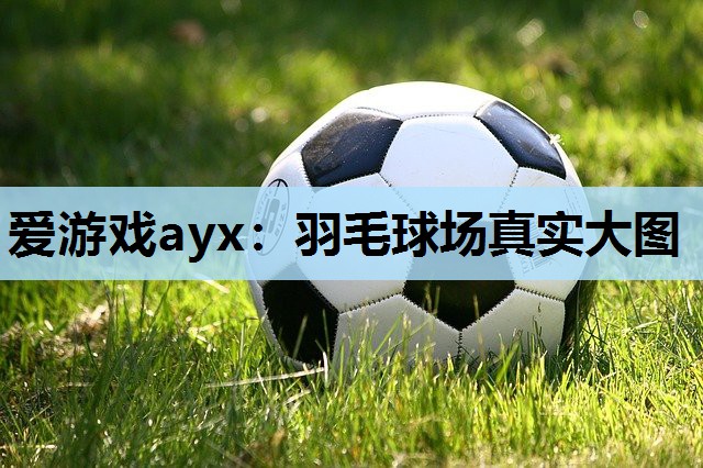 羽毛球场真实大图 羽毛球场真实大图